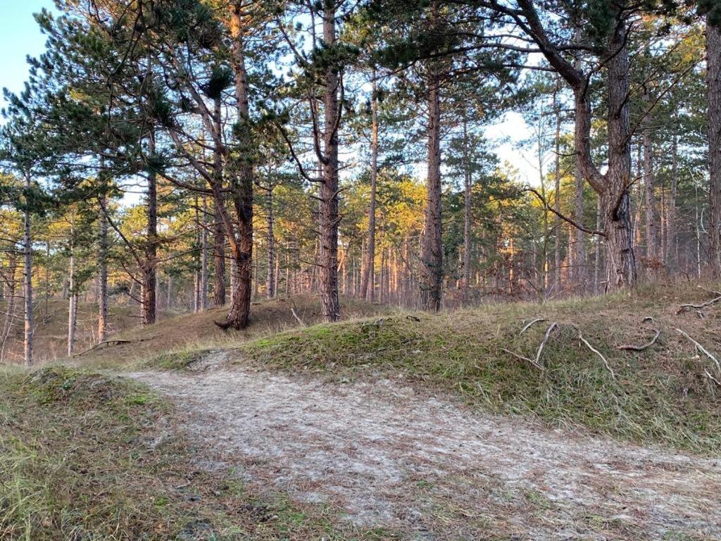 Gezellig Gastenverblijf In Het Centrum Burgh-Haamstede Bagian luar foto